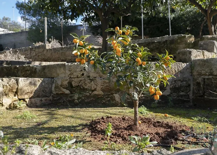 Casa Lu Mare Puglia On Line בית נופש
